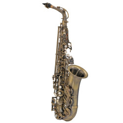 SAXOFONE ALTO MICHAEL WASM46 ENV - 04234