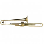 TROMBONE DE PISTO MICHAEL WTPM35N BB LAQ