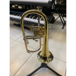 Flugelhorn Aurosus Sfh-8336 - Seminovo