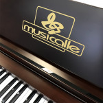 ORGAO MUSICALLE MD850 SUPREME IMBUIA ACETINADO