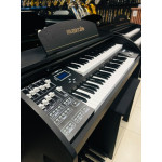 ORGAO MUSICALLE MS2F PRETO FOSCO