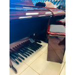ORGAO MUSICALLE MS6B IMBUIA ORGAO MUSICALLE MS6B IMBUIA