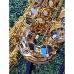 SAXOFONE ALTO MUSICALLE MIB LAQ -1412