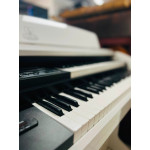 Orgao Musicalle Dream - Branco