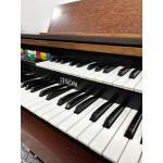 Orgao Itson It900 S - Seminovo