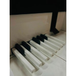 Orgao Musicalle Dream - Branco