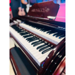 ORGAO MUSICALLE MS6B IMBUIA ORGAO MUSICALLE MS6B IMBUIA