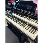 ORGAO MUSICALLE MS6B PRETO ORGAO MUSICALLE MS6B PRETO