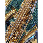 SAXOFONE ALTO MUSICALLE MIB LAQ -1412