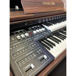 ORGAO MUSICALLE MS1F STD AMADEIRADO ORGAO MUSICALLE MS1F STD AMADEIRADO