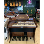 ORGAO MUSICALLE MS6B BRONZE