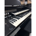 Orgao Musicalle Premium Serie Ouro Preto - Seminovo