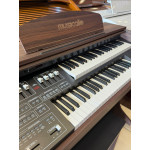 ORGAO MUSICALLE MS1F STD AMADEIRADO
