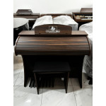 Orgao Musicalle Ms2f Serie Gold Amadeirado - Mostruario