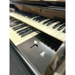 Orgao Musicalle Premium Serie Ouro Preto - Seminovo