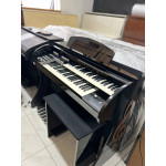 Orgao Musicalle Premium Serie Ouro Preto - Seminovo