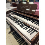 ORGAO MUSICALLE MS6B BRONZE