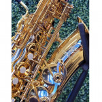 SAXOFONE ALTO MUSICALLE MIB LAQ -1412