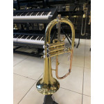 Flugelhorn Aurosus Sfh-8336 - Seminovo