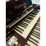 ORGAO MUSICALLE MS3B IMBUIA ORGAO MUSICALLE MS3B IMBUIA