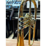 Flugelhorn P. Weingrill Fl1 Laq - Seminovo