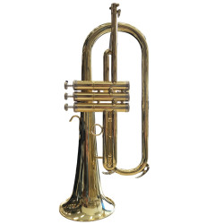 FLUGELHORN PRINCE FLG20 3P BB LAQ - 800985