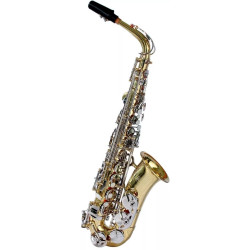 SAXOFONE ALTO HOYDEN HAS25LN LAQ/NIQ - 441