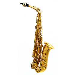 SAXOFONE ALTO HOYDEN HAS25L LAQ - 426