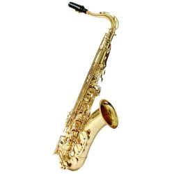 SAXOFONE TENOR HOYDEN BB LAQUEADO - HTS-25L