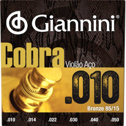 ENCORDOAMENTO GIANNINI VIOLAO ACO 010 - GESWAM