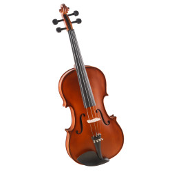 VIOLA HOYDEN VLHE1651EN ENVELHECIDO