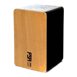 CAJON FSA MINI FM1001