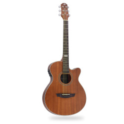 VIOLAO STRINBERG FLAT SF200C MGS FOSCO - 12081