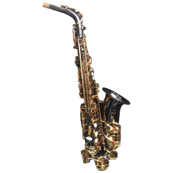 SAXOFONE ALTO CONDOR CSA22GN BLACK/LAQ