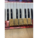 Acordeon Rampazo 80bx Vermelha - Seminova 
