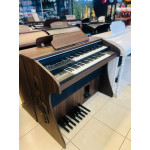 Orgao Musicalle Ms70 C/ Clave Marrom Oliva