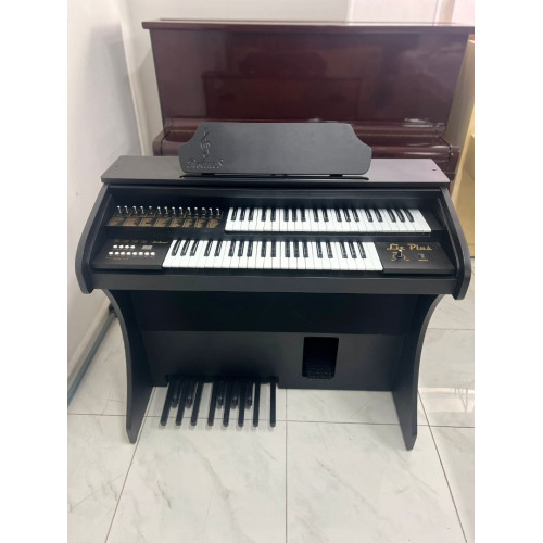 Orgao Rohnes Liz Plus C/ Banqueta - Preto Fosco