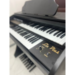 Orgao Rohnes Liz Plus C/ Banqueta - Preto Fosco