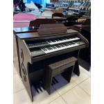 Orgao Musicalle Ms70 C/ Clave Marrom Oliva