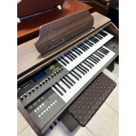 Orgao Musicalle Ms70 C/ Clave Marrom Oliva