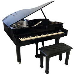 PIANO DE CAUDA ROLAND F 140R PRETO 1/2 - 192
