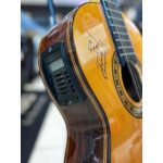 Viola Caipira Rozini Tiao Carreiro - Seminovo