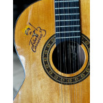 Viola Caipira Rozini Tiao Carreiro - Seminovo