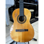 Viola Caipira Rozini Tiao Carreiro - Seminovo