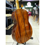 Viola Caipira Rozini Tiao Carreiro - Seminovo