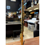 Flauta Transversal em do Sebastian Sfl01g Gold 24