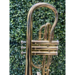 CORNET SEBASTIAN BB LAQUEADO SCO-CR8536 - 2023 CORNET SEBASTIAN BB LAQUEADO SCO-CR8536 - 2023
