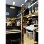 Flauta Transversal em do Sebastian Sfl01g Gold 24