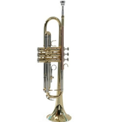 TROMPETE SEBASTIAN LAQUEADO/GOLDBRASS STR-TR8332QSN - 2039