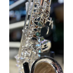 Saxofone Alto Sebastian Prata Mib Sst04s  Saxofone Alto Sebastian Prata Mib Sst04s